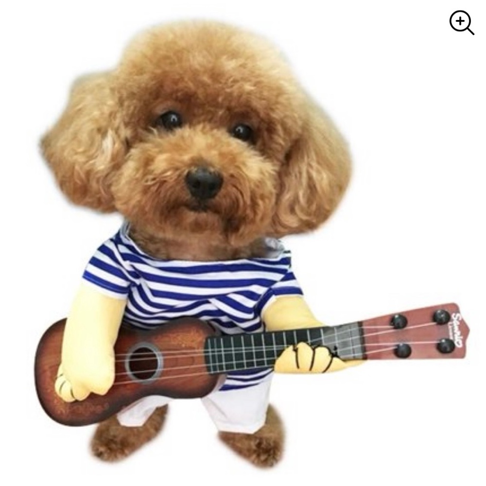 🎃Halloween🎃 Dog costume with guitar
